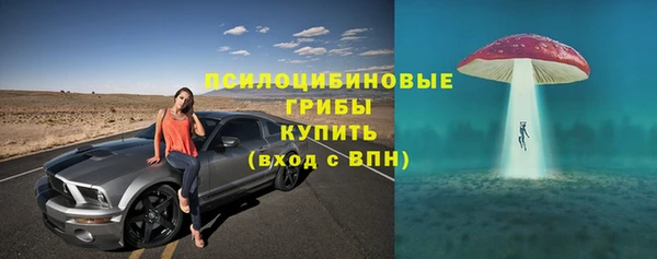 бошки Алексеевка