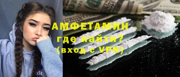 мет Алексин